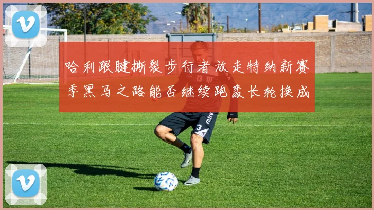 哈利跟腱撕裂步行者放走特纳新赛季黑马之路能否继续跑轰长轮换成关键